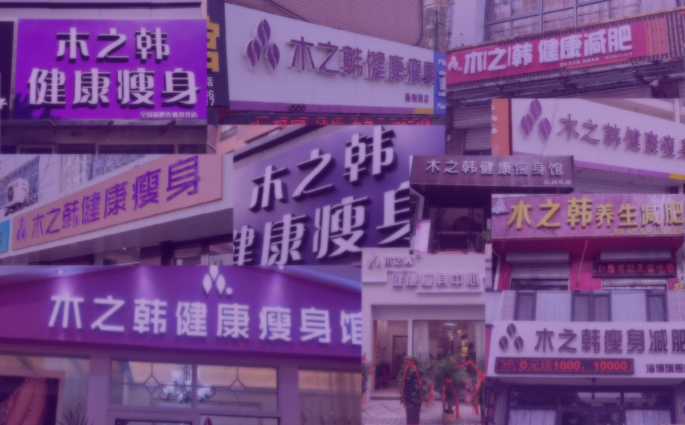 木之韩减肥简介